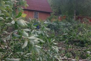  Расчистка и благоустройство участка, покос травы, удаление деревьев Район Орехово-Зуевский